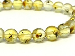 AMBER BRACELET Gift INSECT in EVERY BEAD Round Baltic Amber Insects 5,3g 17452