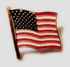 10 pcs Patriot American Flag Lapel Pins with Gold Clutch Butterfly Backing