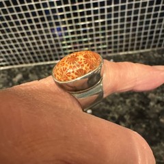 Vntg Sterling Silver 925 STARBORN Ring Fossilized Coral Flowers Sz 8.5 Boho Gift
