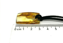 AMBER PENDANT Insect Gift Rectangular Baltic AMBER on Cord Unisex 4,6g 17897