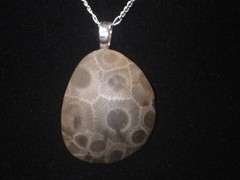 Polished Petoskey Stone Necklace 925 Sterling Silver