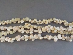 Real Shell Necklace No Clasp Handmade Clear String Seashell Lei