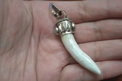 WHITE WHELK SEA SHELL AGATE GEMSTONE BRASS CAPPED PENDANT #T-4117