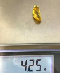 Amber Pendant Insect Fossil Insects Inclusion Silver 925 Gold Plated 4,2g 5734