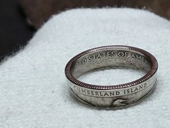 CUMBERLAND ISLAND, GA. – Size 11 State Quarter Coin Ring
