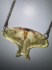 Jewelry, Unique Hand Made Bug Earrings And Necklace.
