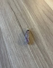 Amethyst Crystal Point Pendant Wire Wrapped Healing Quartz Reiki Necklace