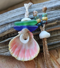 Sunrise Shell & Sea Glass Necklace Braid Beach Men Gift Puka Pecten Langfordi