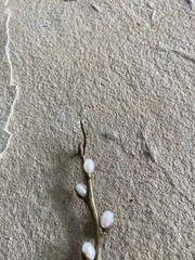 Brooch Pin Bronze Freshwater Pearl Artisan 3 Inch NG