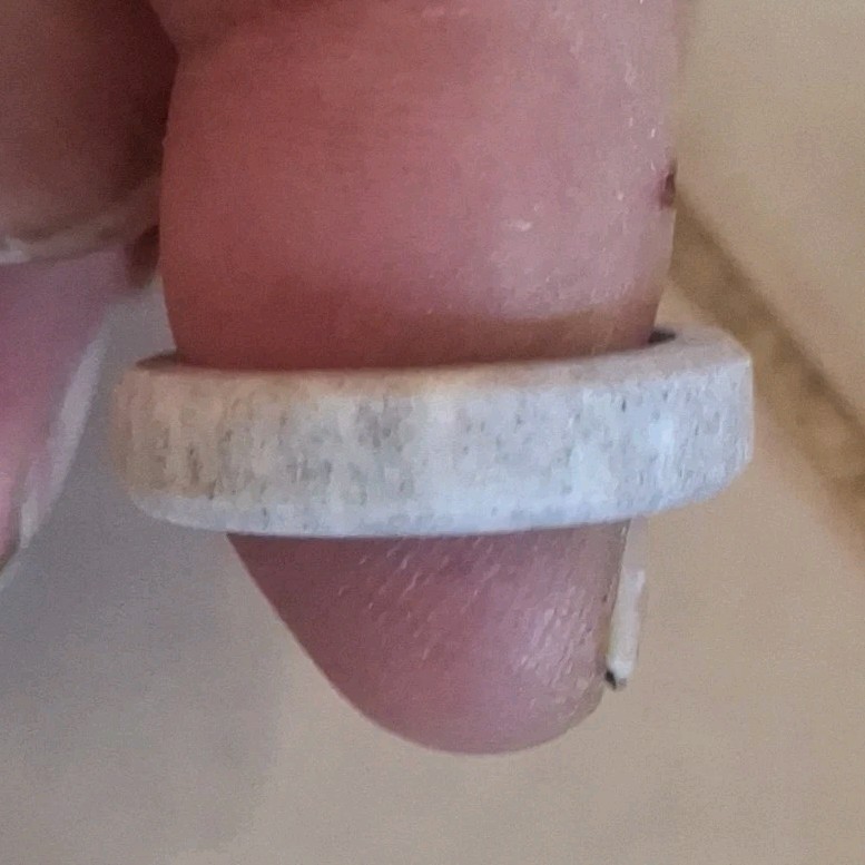 Handcrafted Bone Band Ring Beige Unisex Adults No Stone