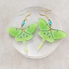 Luna Moth Gold Drop Earrings acrylic Curiosities Jewelry butterfly fashion gift
