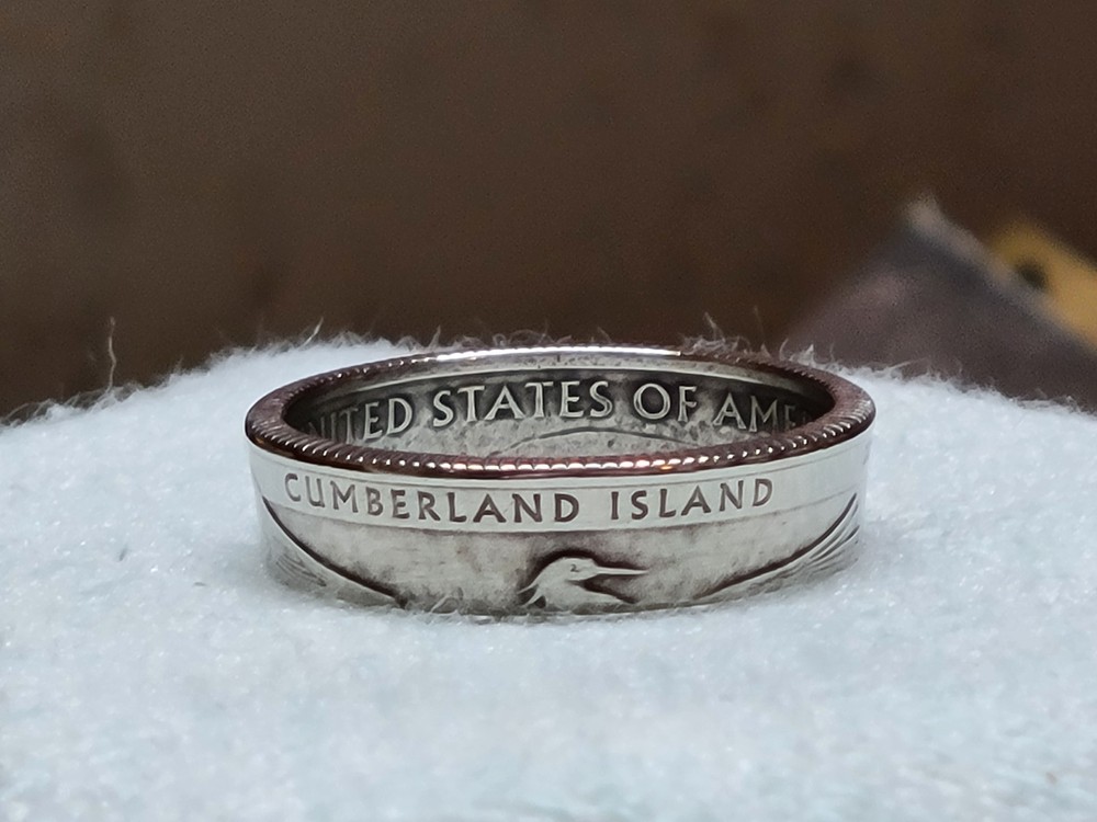 CUMBERLAND ISLAND, GA. – Size 11 State Quarter Coin Ring
