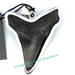 Sterling Silver Fossil Shark Tooth Pendant (Charles Albert)-1 7/8 x 2.5 Inch.