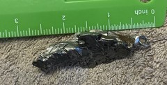 campo del cielo meteorite Huge 3-D Abstract Pendant