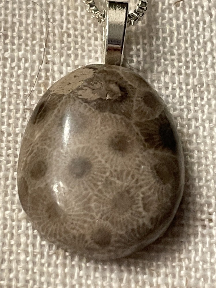 STUNNING Michigan Oval Petoskey Stone Polish Fossil Pendant W/ .925 Chain