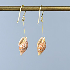 Handmade Tiny Sea Shell Pierced Earrings New Cute Summer Casual Japan Japanese