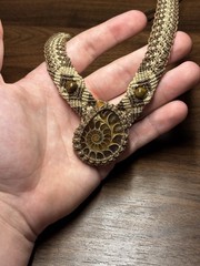 Handmade Costa Rican Nautilus Shell Necklace Woven Fiber Artisan Pendant Jewelry