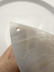 White Pearl Nautilus Shell Handmade Pendant in Half Cut Nautilus