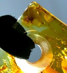 AMBER PENDANT Insect Gift Rectangular Baltic AMBER on Cord Unisex 4,6g 17897
