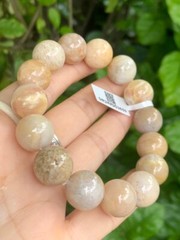Coral Fossil Gemstone 14MM Bead Bracelet, Coral Bracelet (Wrist 17CM/6.3/4”)