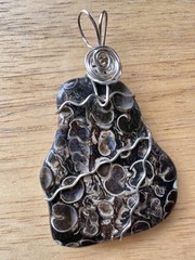 Hand Crafted Wire-wrapped Turritella Agate pendant