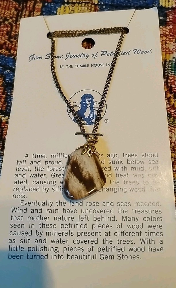 Gemstone jewelry of petrified wood necklace