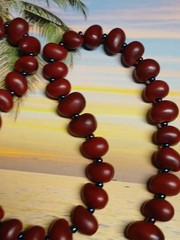 Artisan Crafted Dark Bean and Seed Bead Single Strand Necklace