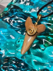 MAKO shark tooth wire wrapped