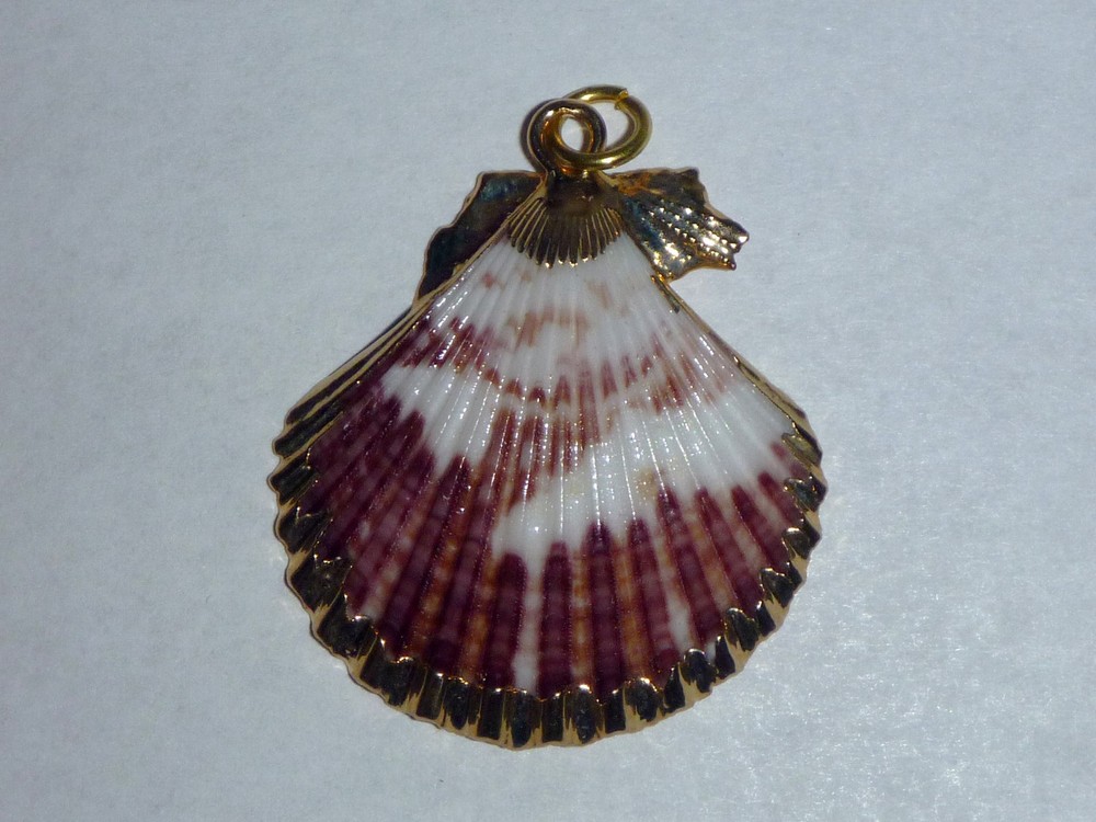 Handmade Natural Purple and White Scallop Shell Pendant with Gold Trim