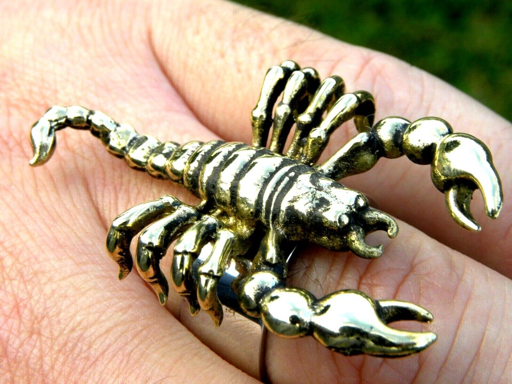Brass Scorpion ring band solid 925 sterling silver size 7 8 9 10 11 12