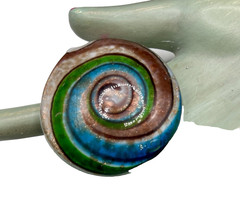 Round 3” Unique Art Glass Pendant, With Snail Design, Colorful, Statement Gift