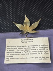 Vtg Rare MICHAEL MICHAUD Bronze Japanese Maple Flower Pin/brooch Pre Owned #H