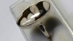 CUTE NATURAL DALMATIAN PETRIFIED WOOD IN STERLING SILVER.925 RING SIZE 6.0-6.25