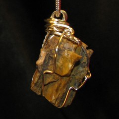 AZ Petrified Wood wire wrap sp snake chain necklace natural stone pendant #107