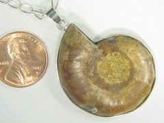 BUTW- Silver Ammonite nautiloid fossil 45 mm pendant necklace jewelry 4505D