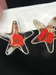 Dried Flower Star Shaped Earrings 925 Sterling