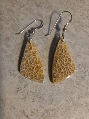 Natural Fossilized Coral Dangle Earrings Stering Silver Ear Wires E14