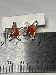 Dried Flower Star Shaped Earrings 925 Sterling