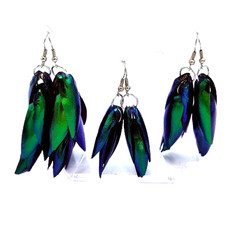 Set 3 Pcs Natural Jewel Beetle Insect Wing Earrings Hoop Real Bug Wing Jewelry