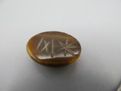Stone for Earrings or Pendant Scarab Tiger’s Eye Gemstone Tigerseye