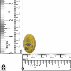 Size 9.5 – Size 11 Adjustable Atlantisite Stichtite 24K Gold Plated Ring GPR1368