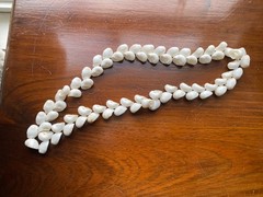 HANDMADE COLLECT BOHO NECKLACE Genuine Seashell Beach Fashion Jewelry