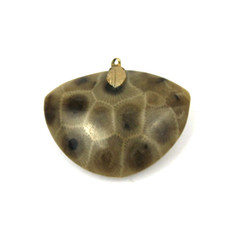 Beautiful Polished Petoskey Stone Heart Triangle Pendant for Necklace Michigan