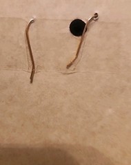 Australian Handmade Boomerang Shaped Earrings