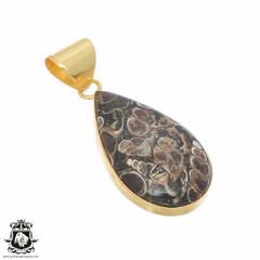 Turritella Agate 24K Gold Plated Pendant 3mm Snake Chain GPH741
