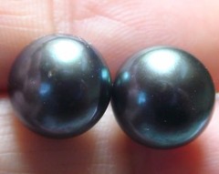 GENUINE TAHITIAN FRESHWATER BLACK PEACOK PEARL 925 S.SILVER EARRINGS 16.25 ct