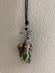 Hag Stone Faerie Mushroom Necklace Vial Moss Purple Flower Protection Talisman