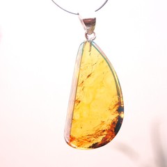 Mexican Amber Pendant 4.7 g