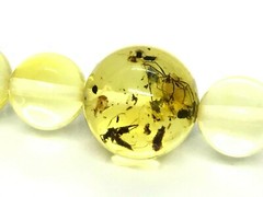 AMBER BRACELET 2 Insects Gift Round Beads Inclusion Insect Baltic 6,3g 14782