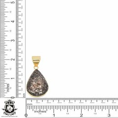 Turritella Agate 24K Gold Plated Pendant 3mm Snake Chain GPH740